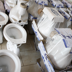 Flush Toilet